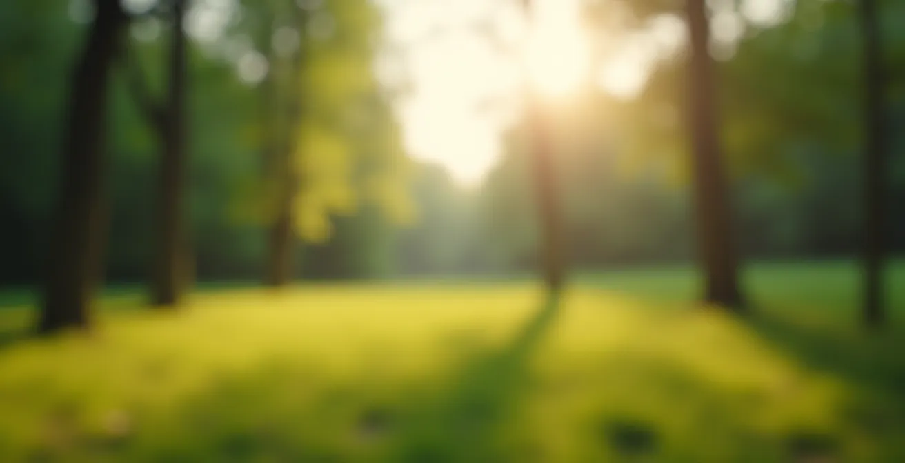 Vista amplia de paisaje natural sereno con enfoque suave y profundidad de campo